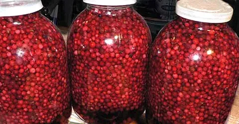Barattoli di vetro con mirtilli rossi sott'olio, fonte di vitamina C e antiossidanti per i nervi